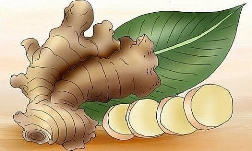 Если ежедневно употреблять имбирь, ВОТ что будет происходить с вашим организмом!